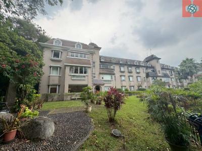 石上清泉稀有庭院美宅☆近華城☆近康橋視意圖